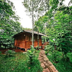 Bamboo Creek India